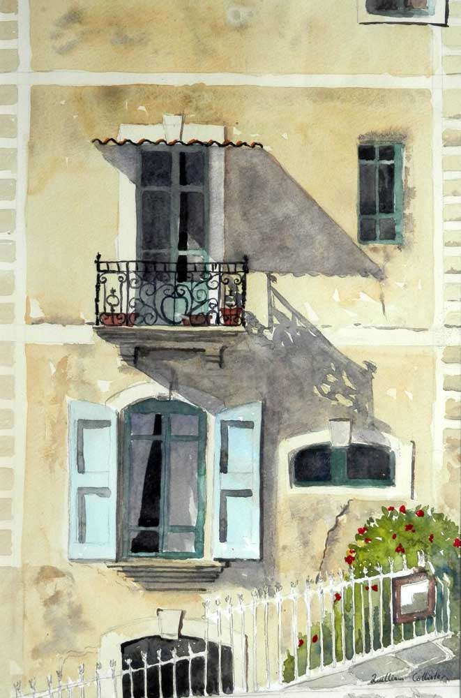 windows