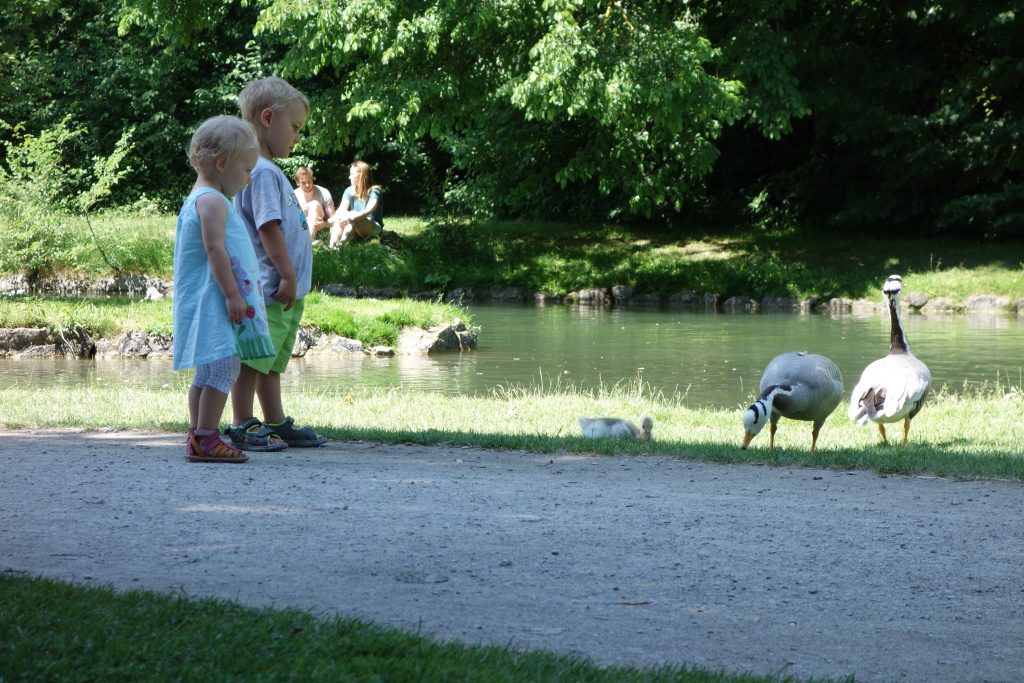In the Englischer Garden